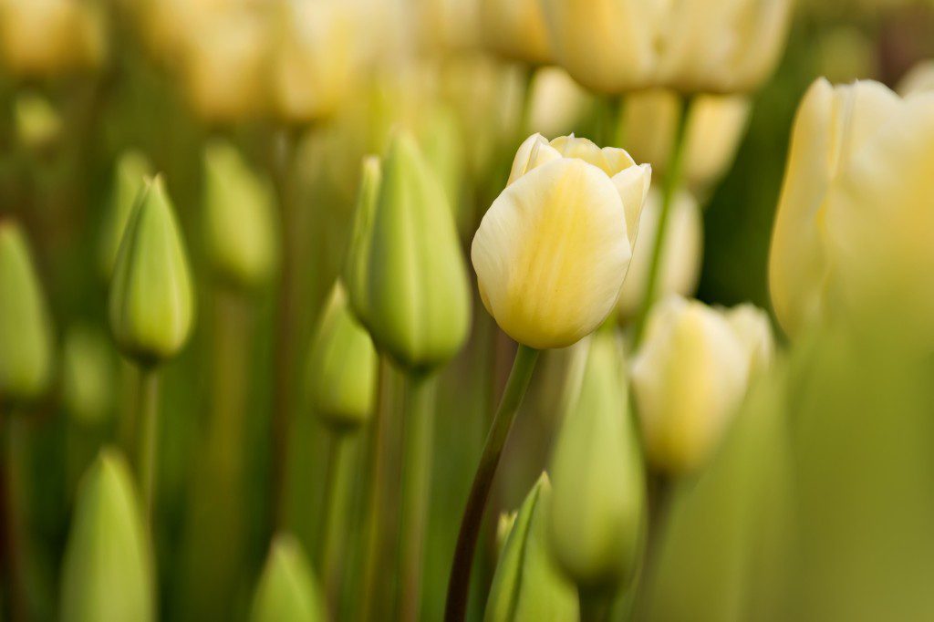 DSC_0037