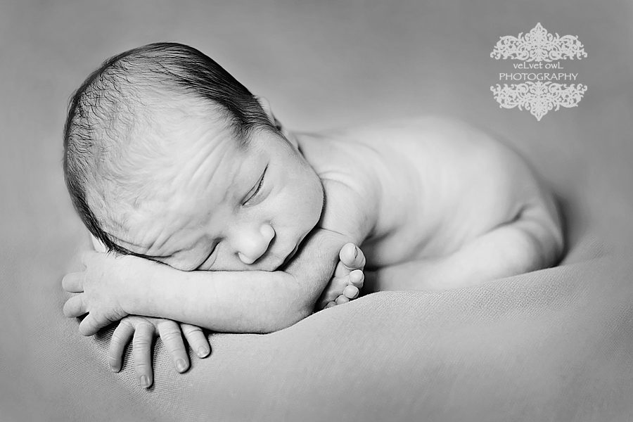 VOP_7916bw