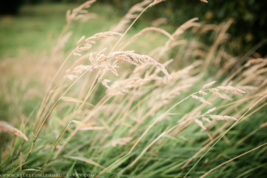 Crickets Are Singing And The Lightning Bugs are Floating On The Breeze